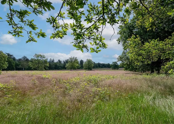 Сasa de vacaciones Landhuisje 31 'de Akkersteen' Bospark Ijsselheide Zwolle