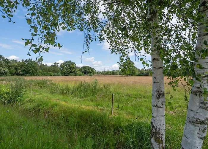 Сasa de vacaciones Landhuisje 31 'de Akkersteen' Bospark Ijsselheide Zwolle Hattemerbroek