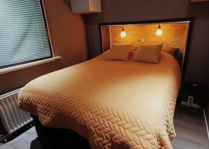 Dom wakacyjny Landhuisje 31 'de Akkersteen' Bospark Ijsselheide Zwolle Hattemerbroek