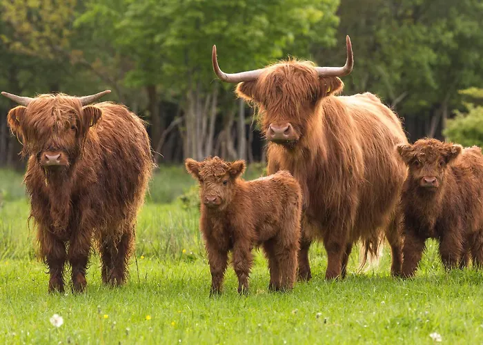 Landhuisje 31 'de Akkersteen' Bospark Ijsselheide Zwolle Сasa de vacaciones *