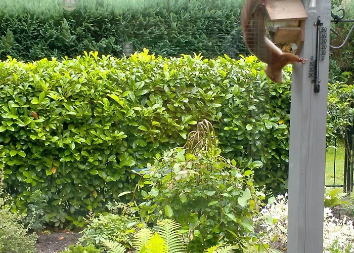 Vakantiehuis Landhuisje 31 'de Akkersteen' Bospark Ijsselheide Zwolle *